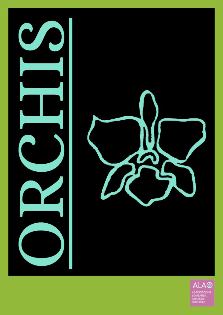 OrchisCover 2006