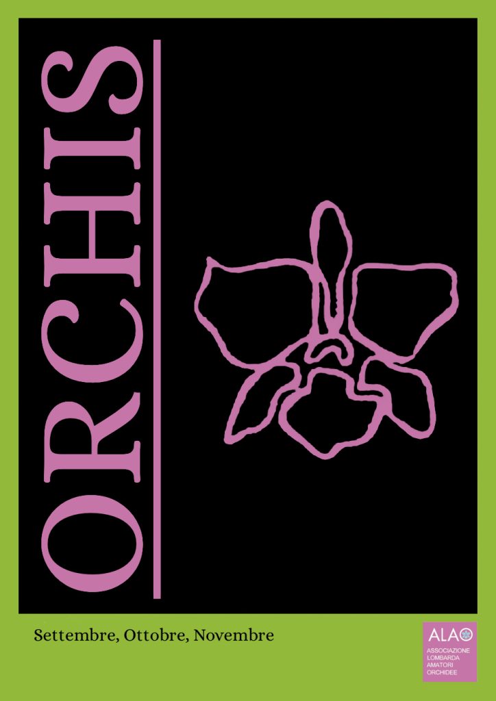 OrchisCover 1998 n4