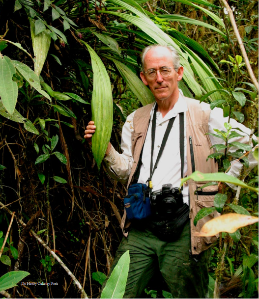 Dr. Henry Oakeley Perù ORCHIS NS 2022 p.78