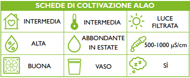 SCHEDA SPECIE di Francesca Castiglione Da ORCHIS Numero Speciale 2022 pp. 54-56