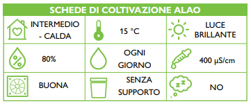 Papilionanthe teres Schema coltivazione Orchis N 2 2024 p14