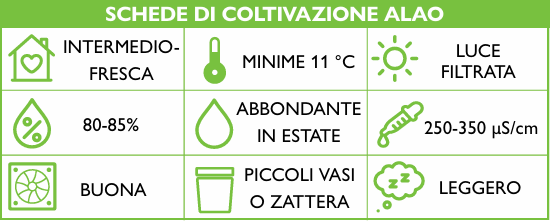 Cattleya pumila, Schema di coltivazione ORCHIS NSpeciale 2024 p.52