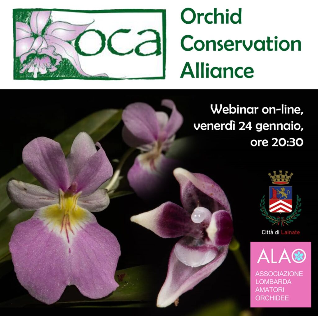 orchids conservation alliance oca