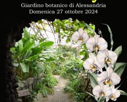 ORCHIday 2024 - Volantino